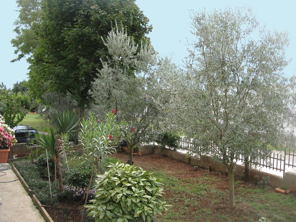 Apartments Adelita Porec Room photo